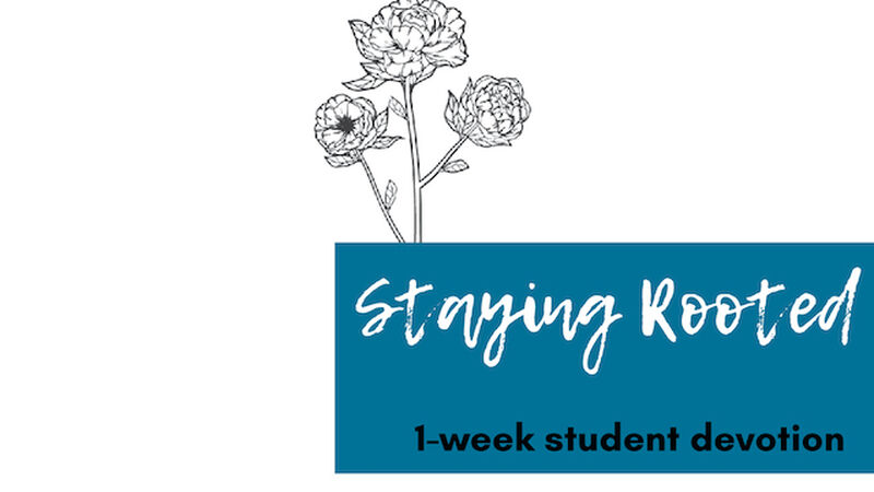 Staying Rooted A Girls' Quiet Time Devotional